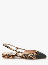 Pumps Uit Leder Steve madden Bruin women 11003564